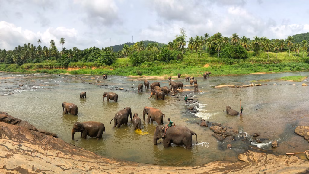 menjelajah-negeri-gajah-putih-petualangan-di-thailand