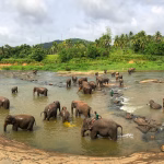 menjelajah-negeri-gajah-putih-petualangan-di-thailand