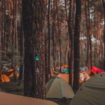 petualangan-di-alam-bebas-panduan-camping-untuk-pemula
