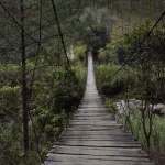 glamping-di-tengah-hutan-pinus-berburu-bintang-liburan-gaya-baru-di-da-lat