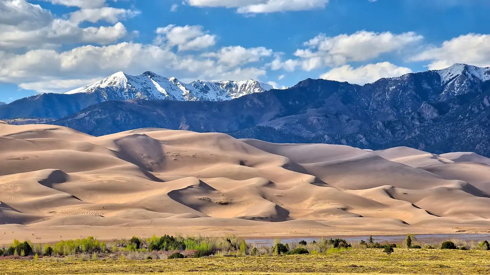 jejak-rasa-di-pegunungan-festival-makanan-musim-panas-di-colorado