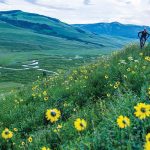 colorado-di-musim-semi-mekarnya-bunga-alpine-dan-harumnya-udara-pegunungan