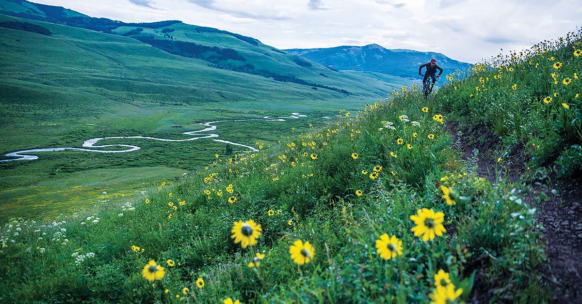 colorado-di-musim-semi-mekarnya-bunga-alpine-dan-harumnya-udara-pegunungan